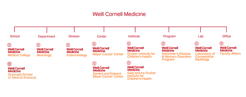 brand architecture examples