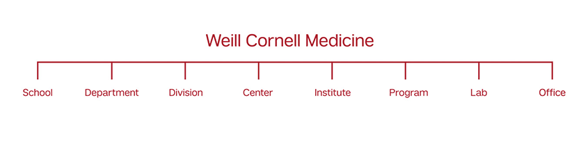 WCM Org Chart